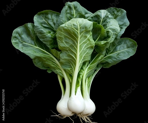 Group of bok choy with lush green leaves and crisp white stems against a black background.