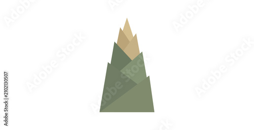 Fotografie Minimalist Bamboo Shoot Geometric Vector