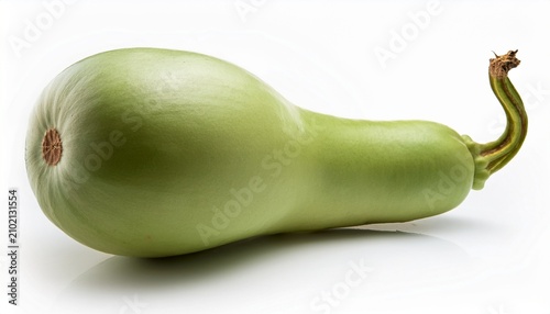 fresh bottle gourd calabash vegetable lagenaria siceraria healthy eating ingredient raw food gourds on white background