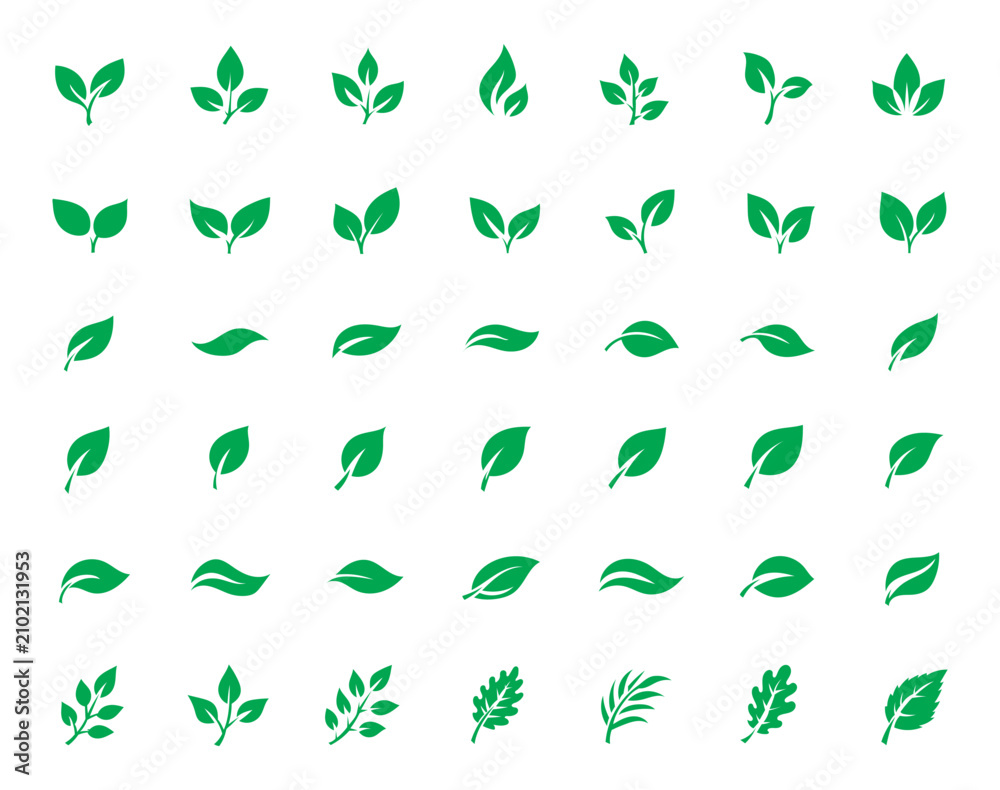 Fototapeta premium Leaf sprout icon vector set, green leaves plant eco logo symbol simple graphic illustration set, vegan fresh herb pictogram shape sign, organic natural healthy logotype eps 10 