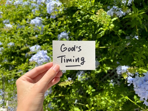 God's timing - hand with christian text with blue flowers on background, biblical faith and religion concept	
