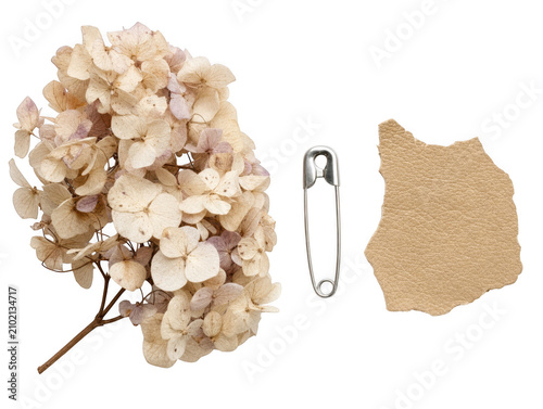 Dried hydrangea flower with metal safety pin and brown paper scrap as isolated on transparent background