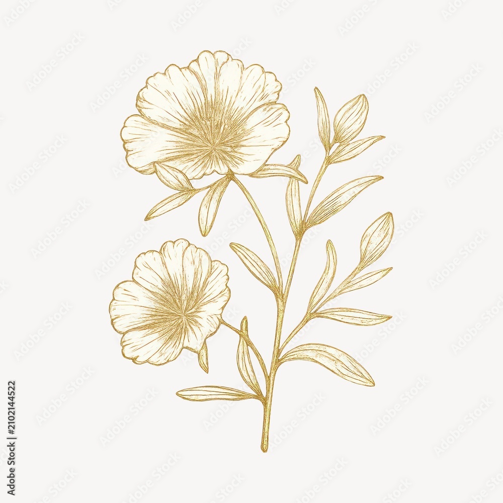 Obraz premium Elegant golden floral illustration design.