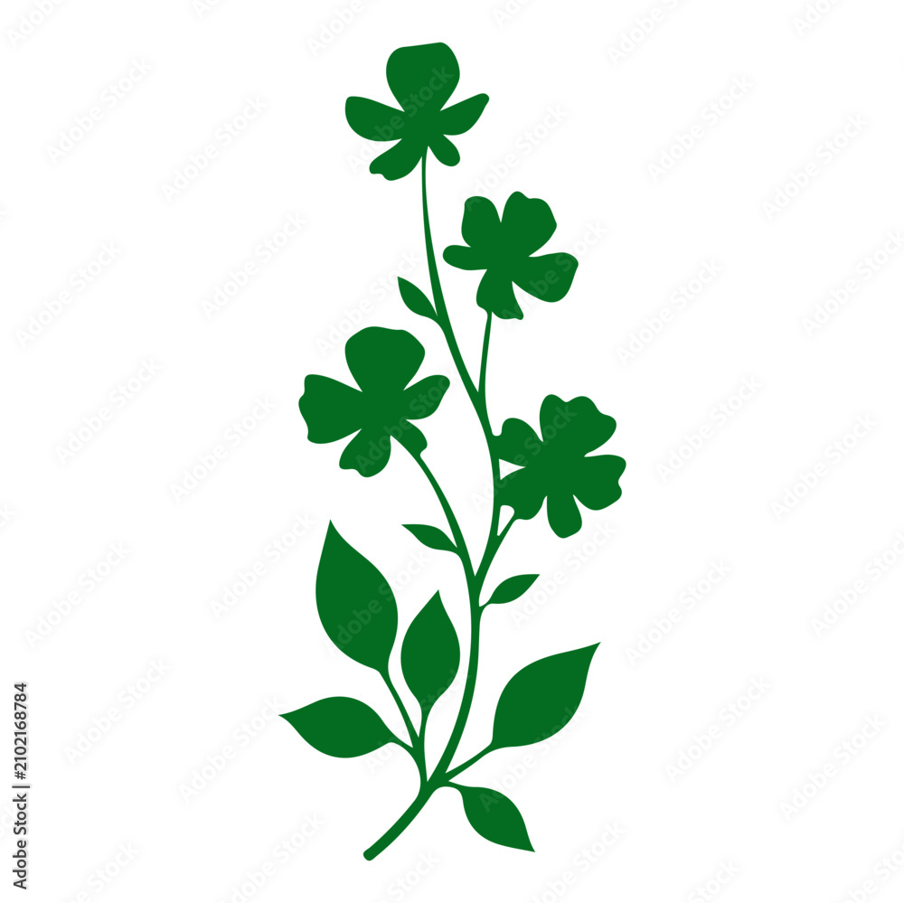 Obraz premium Green Shamrock Plant with Three Leaves for Good Luck.