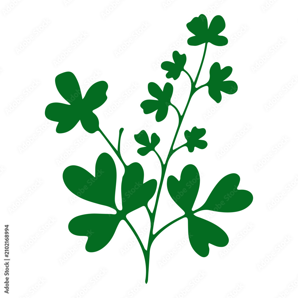 Obraz premium Green Clover Plant with Multiple Leaves and Stems.