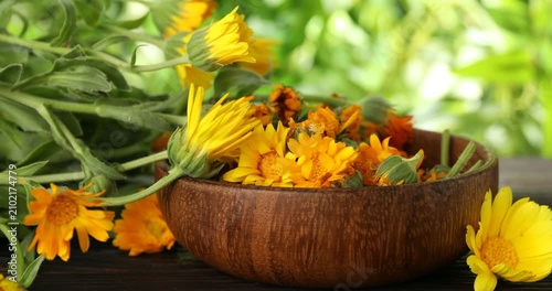 Putting calendula flowers into bowl at wooden table outdoors, closeup