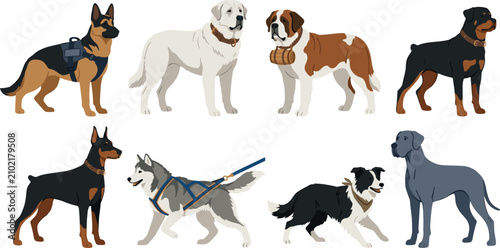 Vászonkép Large and Working Dog Breeds Vector Illustration Set Featuring German Shepherd C