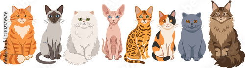 Картината върху платно Popular Domestic Cat Breeds Vector Set Featuring Persian Siamese Bengal Sphinx B
