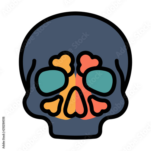 Nasal Sinus Cavity X-Ray Icon for ENT Doctor