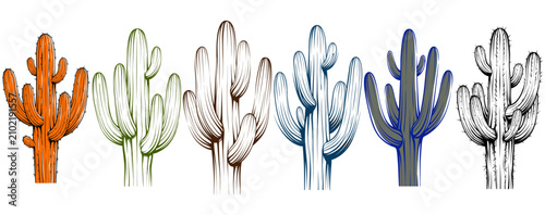 Canvastavla Saguaro cactus set