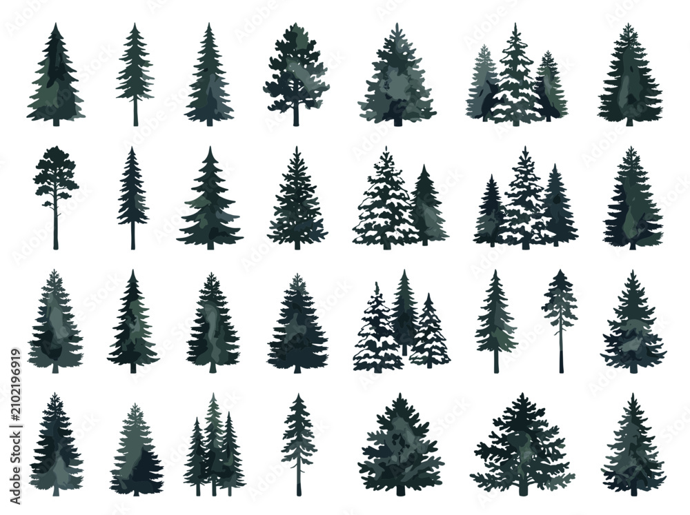 Obraz premium Collection of Evergreen Pine Trees, Pine Forest Elements, Nature Graphics