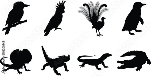 Tableau sur toile Black silhouette vector set of Australian native wildlife featuring exotic birds