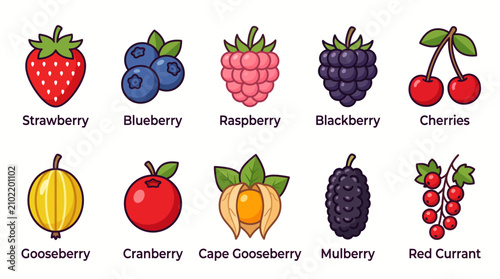 Set of colorful hand drawn berry icons with labels.