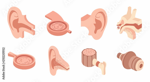 Foto Collection of human ear anatomy and hearing aid illustrations.