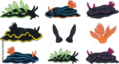Foto Colorful Nudibranch Sea Slug Collection Featuring Exotic Marine Mollusks, Underw