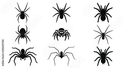 Fotografía Spider and arachnid silhouette symbol icon collection.