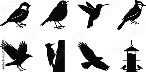 Photos Collection of wild bird silhouettes featuring hummingbird, woodpecker, flying ea
