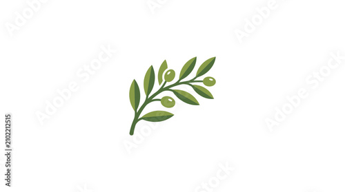 Minimalist Green Olive Branch with Leaves Vector Illustration