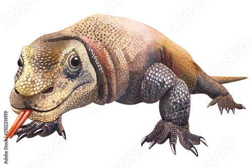 Hand-painted watercolor lizard illustration with realistic anatomical details. Perfect for zoology, herpetology, scientific publications, educational materials, natural history, wildlife, and print 