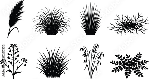 Collection of hand-drawn black botanical silhouettes featuring various wild meadow grasses, cereal crops, and field plants set