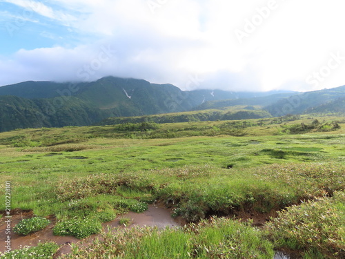 緑の木々が生えた山の景色