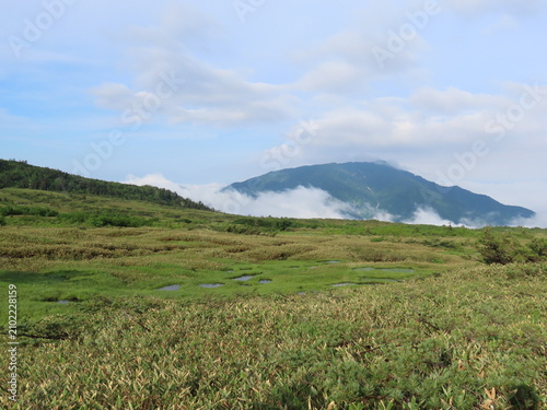 緑の木々が生えた山の景色