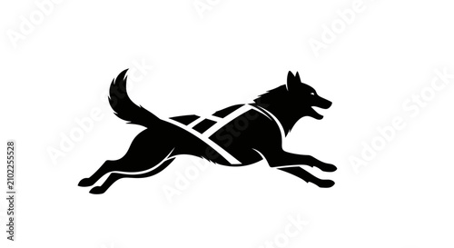 Konstfotografi Silhouette of jumping husky dog in working harness.