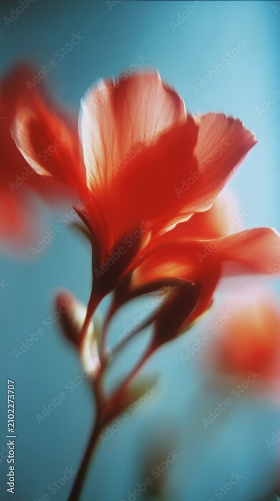 Obraz premium Vibrant red flower with soft focus, perfect for a mobile wallpaper.