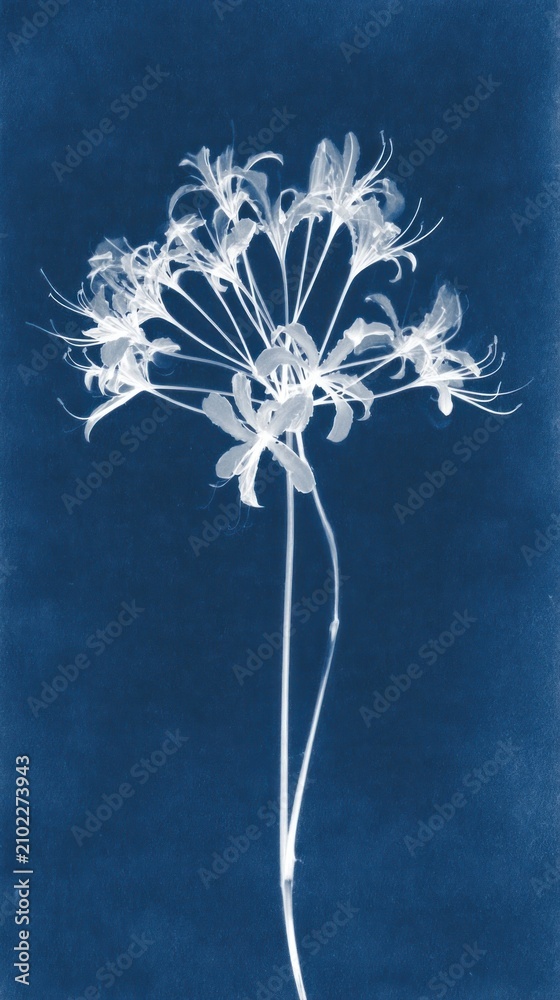Obraz premium Elegant cyanotype of white flowers on blue, perfect for mobile wallpaper.