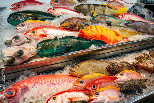Bild auf Leinwand 沖縄の鮮魚店に並ぶ色鮮やかな魚
