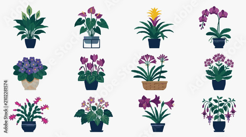 Quadro su tela Professional of 12 Vibrant Potted Houseplants and Flowers for Indoor Decor and G