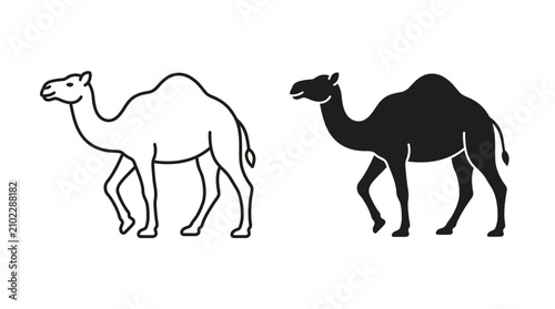 Minimalist camel vector illustration with outline and solid silhouette