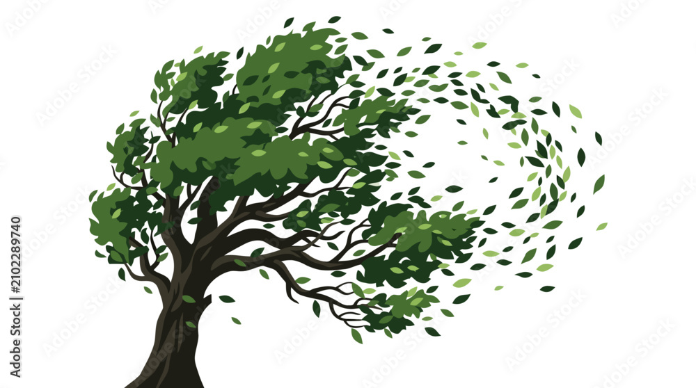 Fototapeta premium Tree with Leaves Blowing in Wind