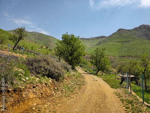 Fotografie Sun-drenched dirt road hugs a hillside dotted with garden trees, wire fencing, and rocky slopes descending into a wide green valley