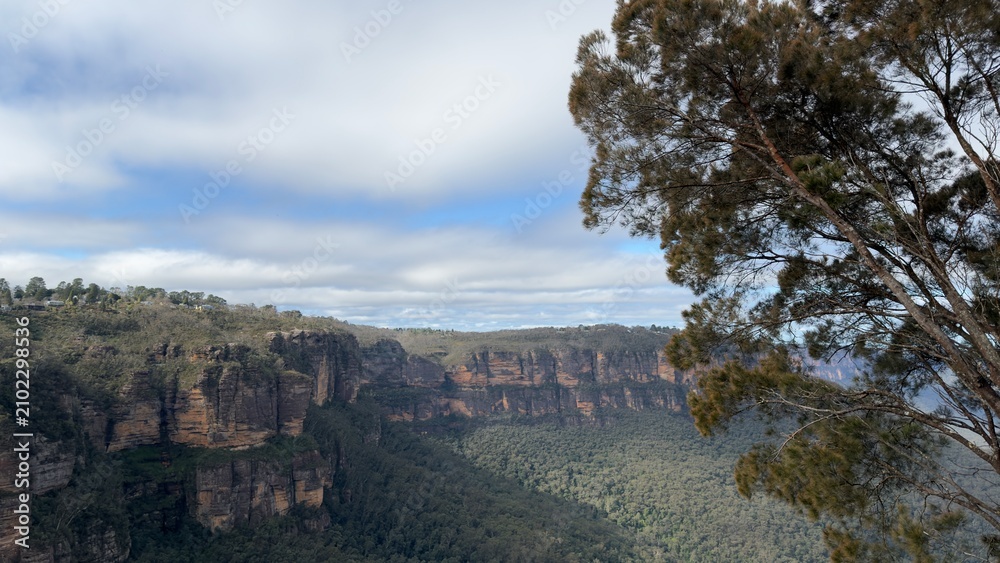 Fototapeta premium Panoramic View of Sandstone Cliffs and Dense Forest Valley Under Cloudy Sky