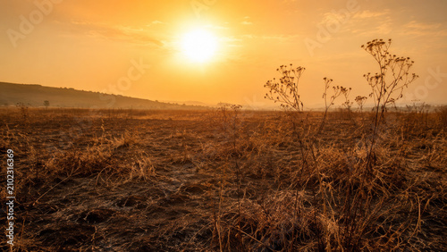 Dramatic sunset over a scorched field with dry grass and hazy orange sky during drought season