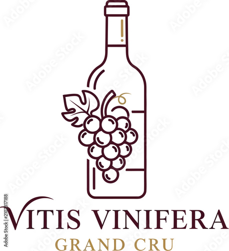 Elegant wine bottle and grape vine logo for vitis vinifera grand cru