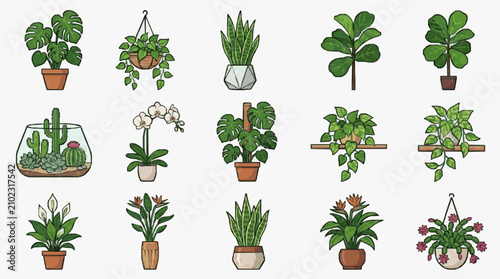Foto Sleek Collection of 15 Stylish Indoor Plants in Modern Pots and Hanging Planters