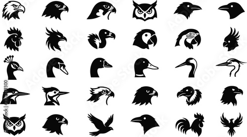 Tableau sur toile Avian bird species collection for logo designs featuring eagles owls hawks parro