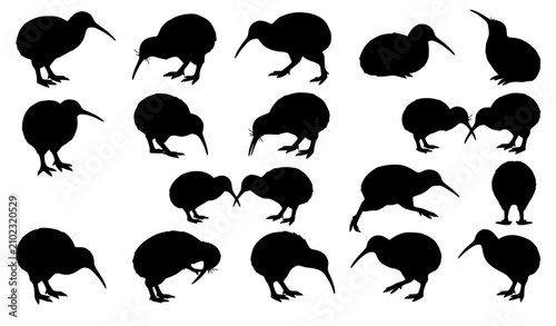 Obraz na płótnie Set of native New Zealand kiwi bird silhouettes showing diverse active poses run