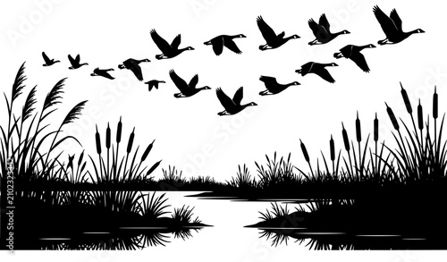 Canvastavla Flock of migratory birds flying in V formation over marsh wetlands landscape vector illustration featuring cattail reeds grass silhouettes for nature and wildlife concepts