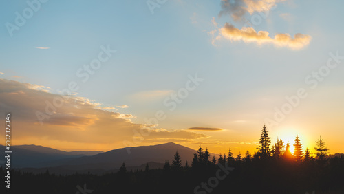 Obraz na plátne Beautiful sunset over the Carpathian mountains with sun rising or setting behind pine trees