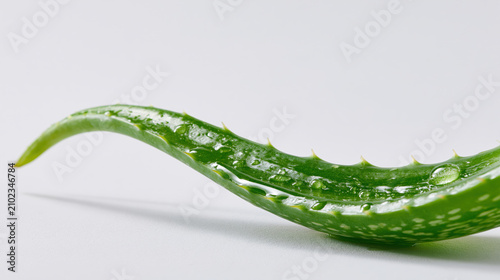 Aloe vera leaf, green plant, water drop, isolated, white background, fresh botanical