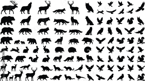 Photography Mega collection of wild forest animals and birds black silhouettes isolated on w