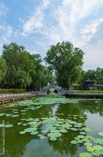 Scenic Area of Xiaoxin Wharf in Baodi District, Tianjin