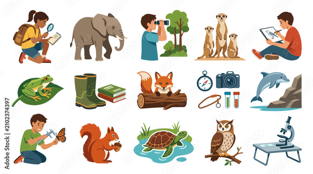 Fototapeta premium Children Studying Animals: Elephant, Fox, Owl, Frog, Squirrel, Dolphin, Turtle, Meerkat, Vector Art