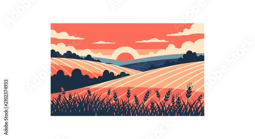 Scenic rural farm fields at sunset