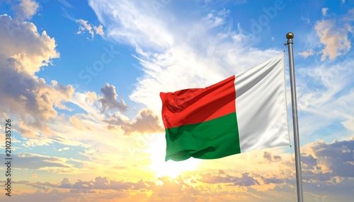flag of france