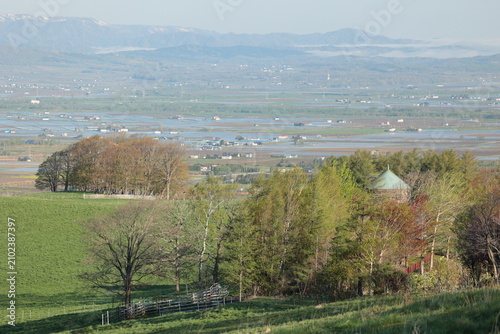 Konstfotografi 木々の緑が濃くなりつつある高原より眺めた、稲作準備が進む5月の街並み　北海道滝川市