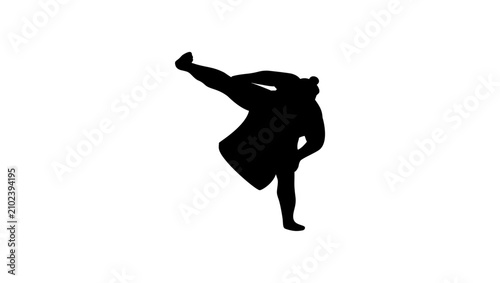 Fotografie Sumo Fighter, black isolated vector silhouette